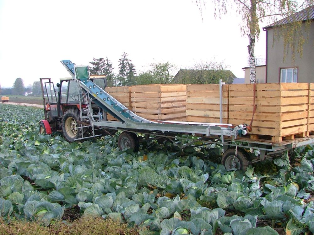 Transportery do zbioru warzyw – Łuczak – Maszyny Rolnicze